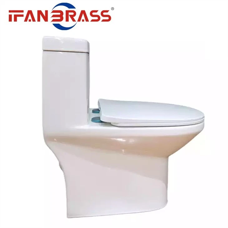 Seated Toilet